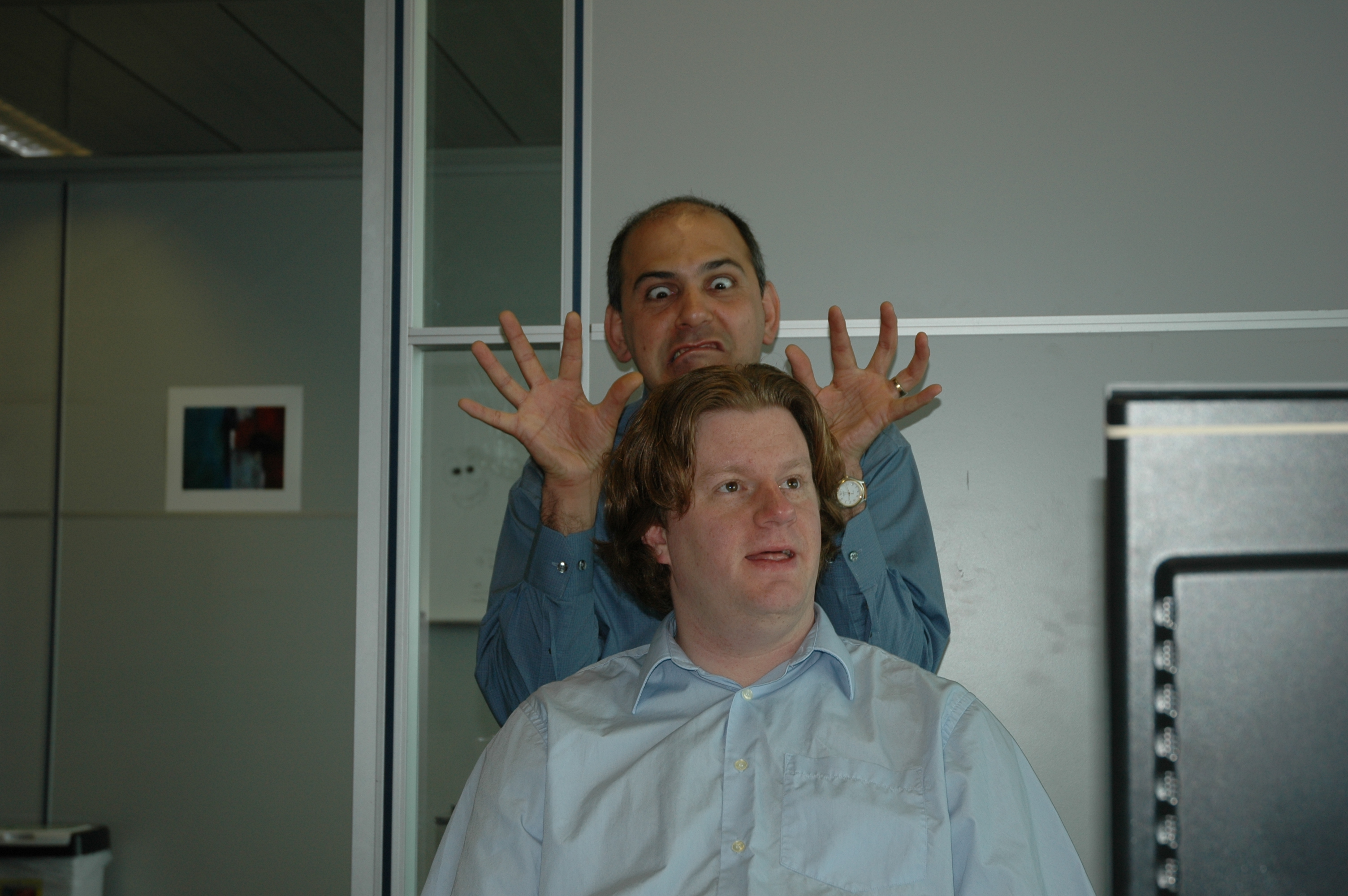 Profesionele verhouding